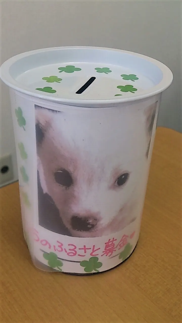 0を目指して一歩ずつ!(写真2)