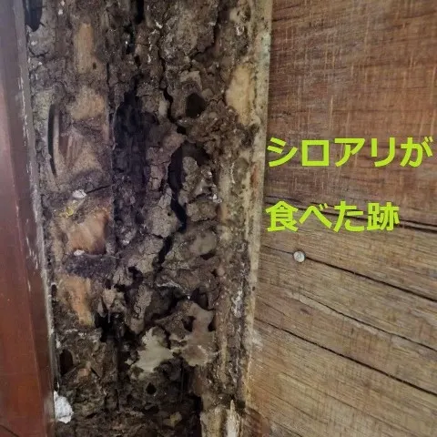 雨漏りを放置するのはNG!雨漏りの症状や二次被害について(写真4)