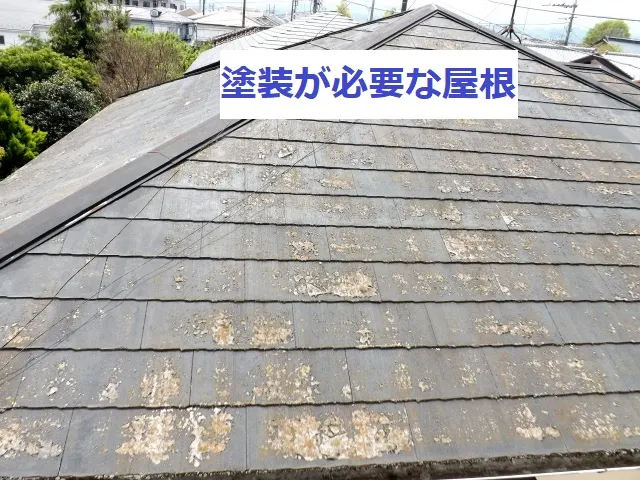 雨漏りを放置するのはNG!雨漏りの症状や二次被害について(写真2)