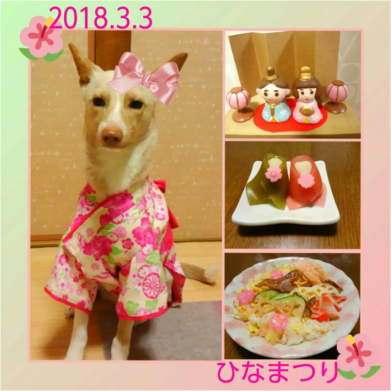 🎎ひな祭り🌸（写真1）
