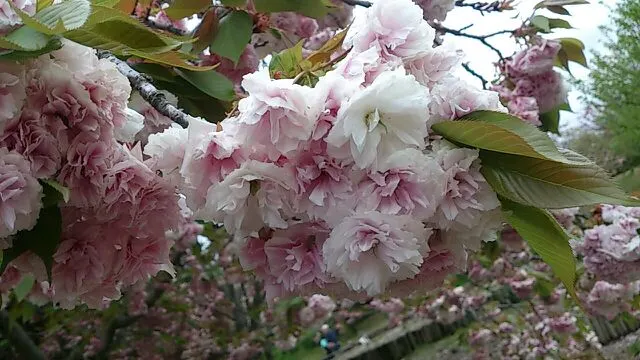 癒しの日♪（写真2）