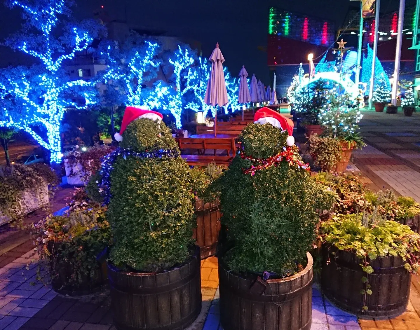 イルミネーション✨（写真2）