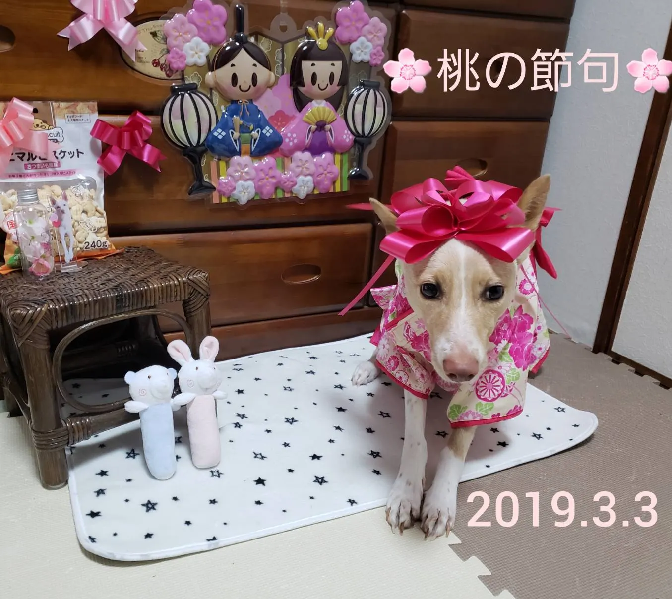 1日遅れの🎎ひな祭り🌸(写真1)